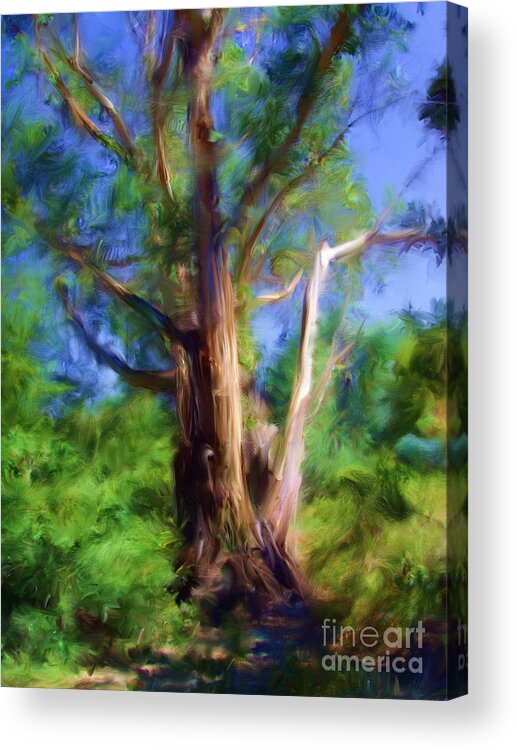Australia Acrylic Print featuring the digital art Australian Native Tree 7 by Russell Kightley