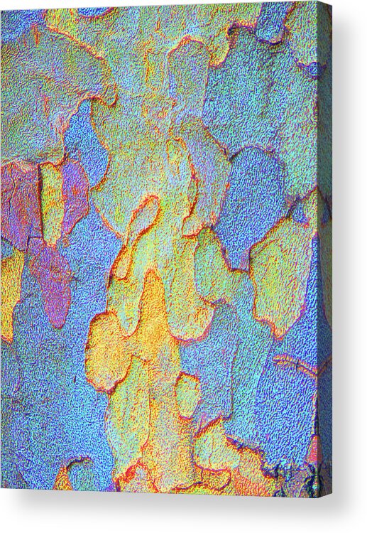 Bark Acrylic Print featuring the photograph Autumn London Plane Tree Abstract 4 by Margaret Saheed