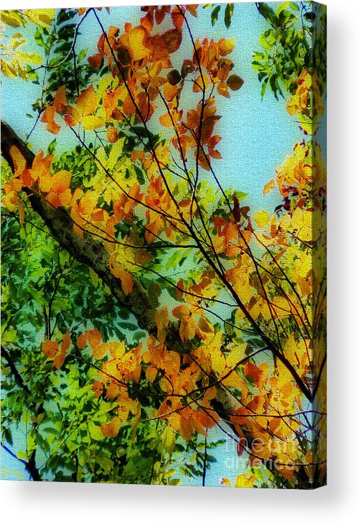 Fall Acrylic Print featuring the photograph Autumn Scenery by Jeff Breiman