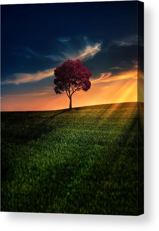 Agriculture Acrylic Print featuring the photograph Awesome Solitude by Bess Hamiti