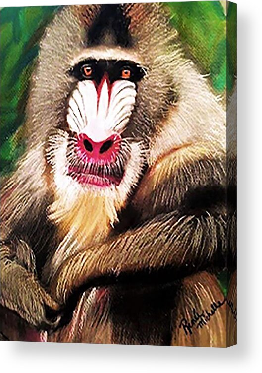 Mandarin Baboon Acrylic Print featuring the pastel Baboon Stare by Renee Michelle Wenker