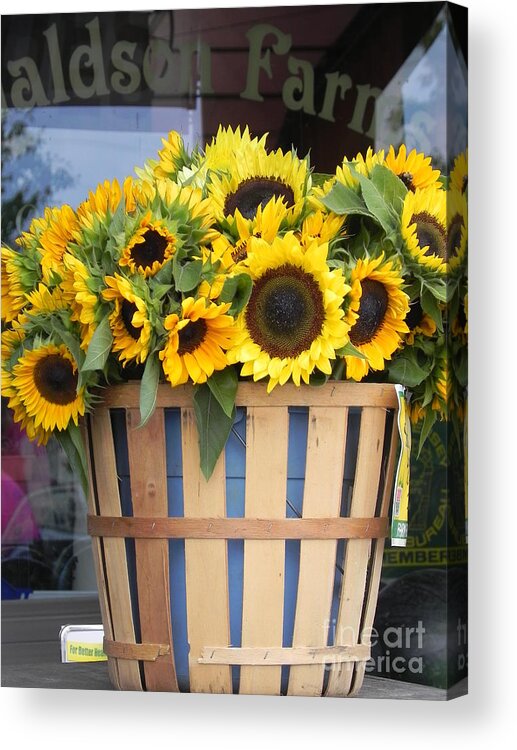 Photography Acrylic Print featuring the photograph Basket of Sunshine by Chrisann Ellis