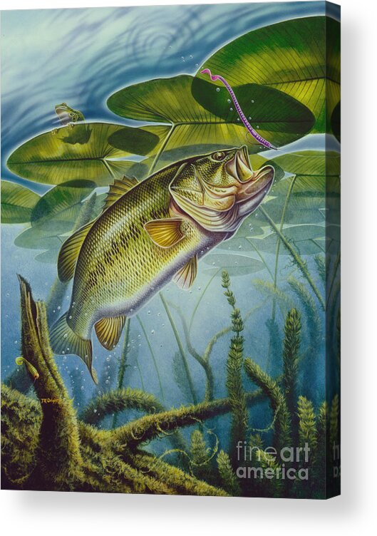 Jon Q Wright Acrylic Print featuring the painting Bass and Frog by JQ Licensing