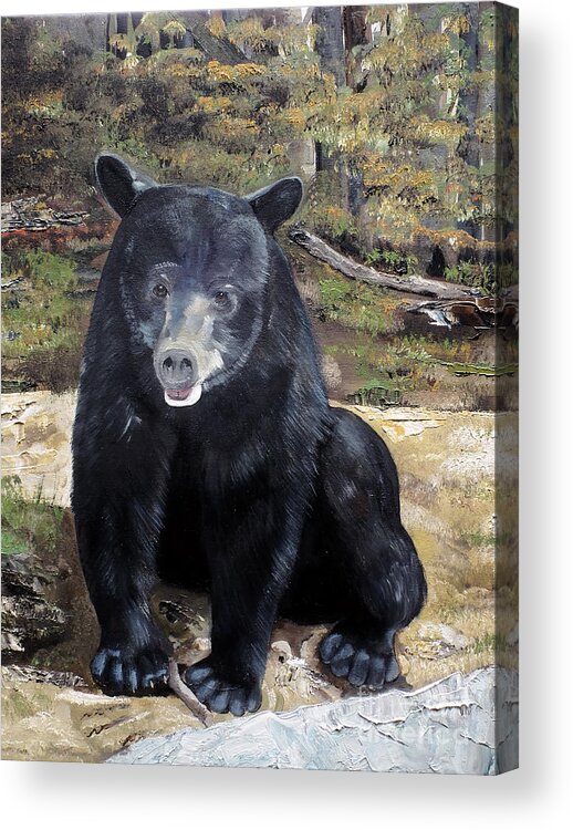 Black Bear Acrylic Print featuring the painting Bear - Wildlife Art - Ursus americanus by Jan Dappen