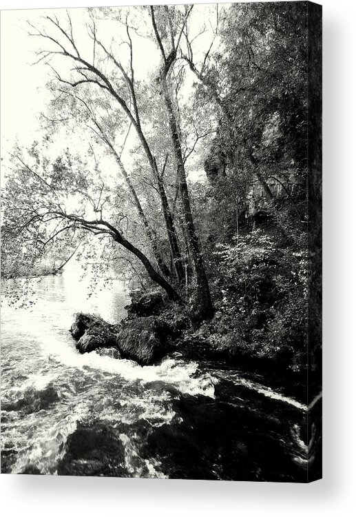 Black And White Acrylic Print featuring the photograph Big Spring In B and W by Marty Koch