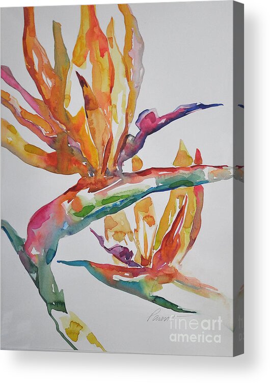 Birds Of Paradise Acrylic Print featuring the painting Bird of Paradise #2 by Roger Parent