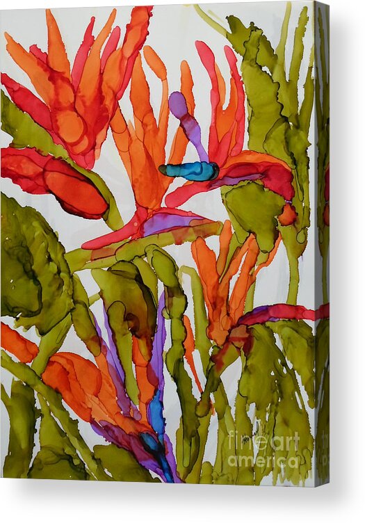 Birds Of Paradise Acrylic Print featuring the painting Birds Of Paradise by Vicki Housel