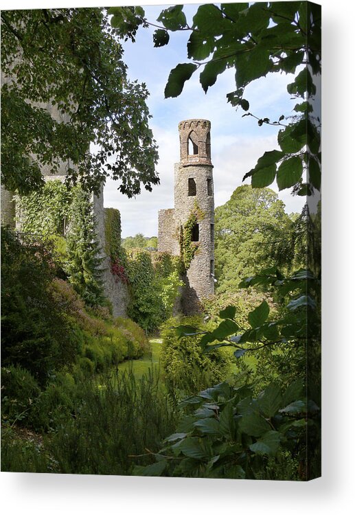 Ireland Acrylic Print featuring the photograph Blarney Castle 2 by Mike McGlothlen