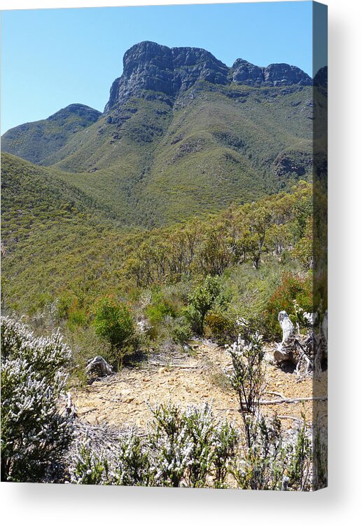 Australia Acrylic Print featuring the photograph Bluff Knoll Peak - Western Australia by Phil Banks
