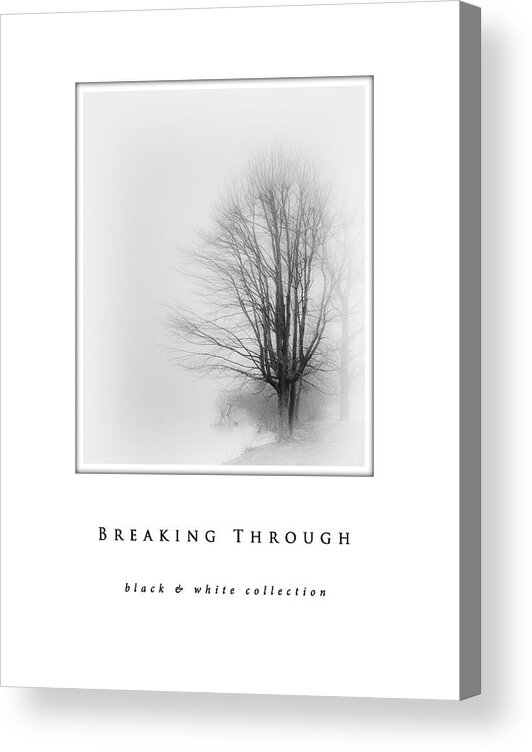 Breaking Through Black & White Collection Acrylic Print featuring the photograph Breaking Through black and white collection by Greg Jackson