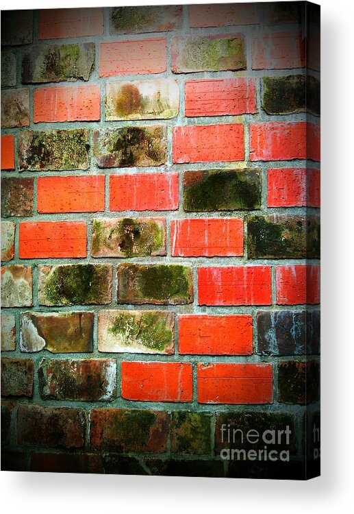 Bricks Acrylic Print featuring the photograph Brick Wall by Eena Bo