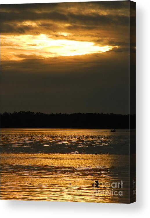 Nature Acrylic Print featuring the photograph Bright Peacefulness by Gallery Of Hope 