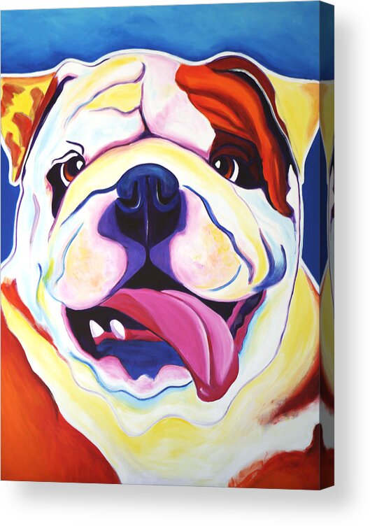Bulldog Acrylic Print featuring the painting Bulldog - Grin by Dawg Painter