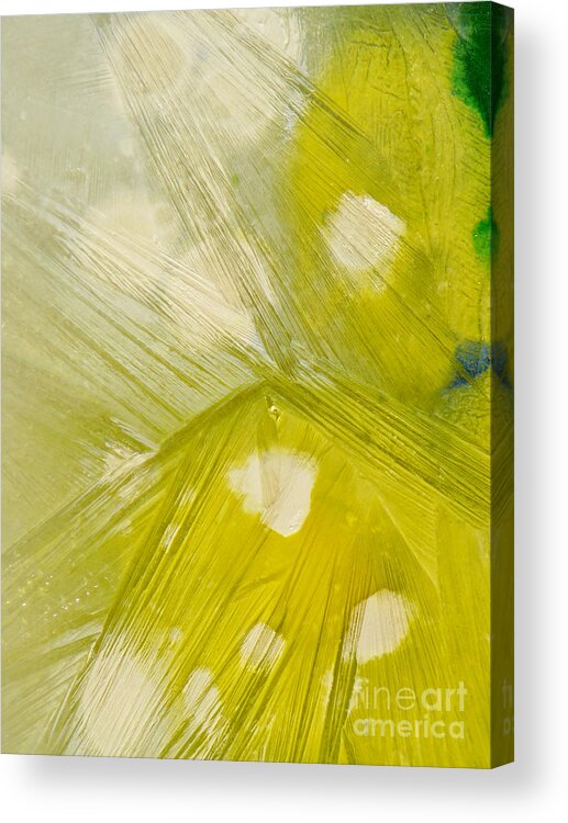 Ice-painting Acrylic Print featuring the photograph Butterfly by Chris Sotiriadis