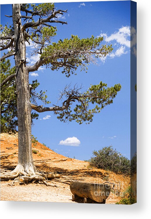 Desert Acrylic Print featuring the photograph Canyon Rim by Brenda Kean