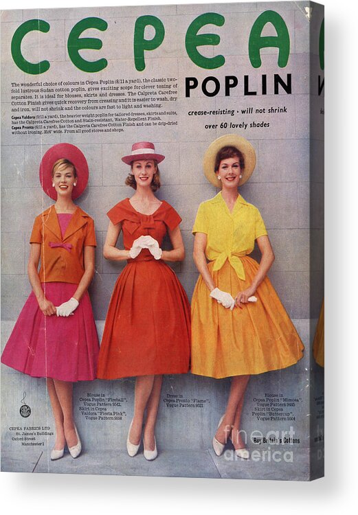 1960s Acrylic Print featuring the drawing Cepea Poplin 1959 1950s Uk Womens by The Advertising Archives