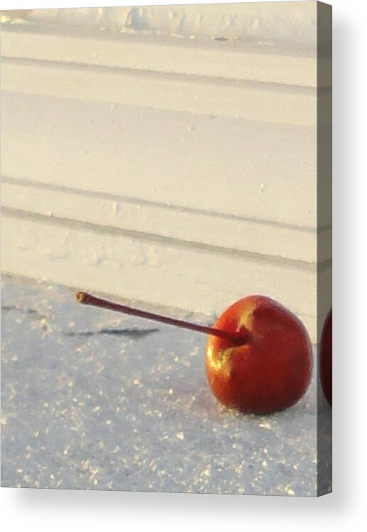 Artsy Acrylic Print featuring the photograph Cherry in the Spotlight by Guy Ricketts