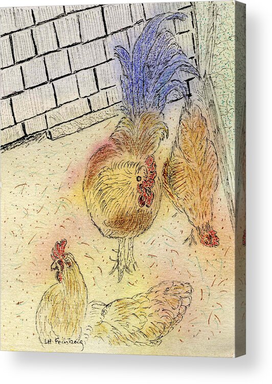 Chickens Acrylic Print featuring the painting Chickens at PEI by Linda Feinberg