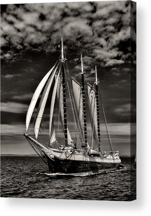 Windjammer Acrylic Print featuring the photograph Chimes by Fred LeBlanc