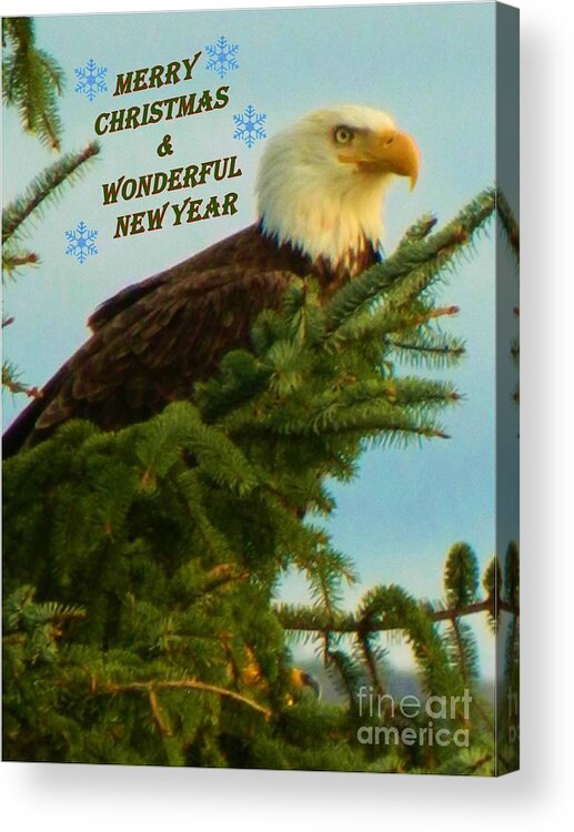 Christmas Acrylic Print featuring the photograph Christmas Eagle by Gallery Of Hope 