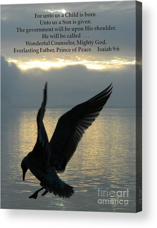 Christmas Acrylic Print featuring the photograph Christmas Seagull by Gallery Of Hope 