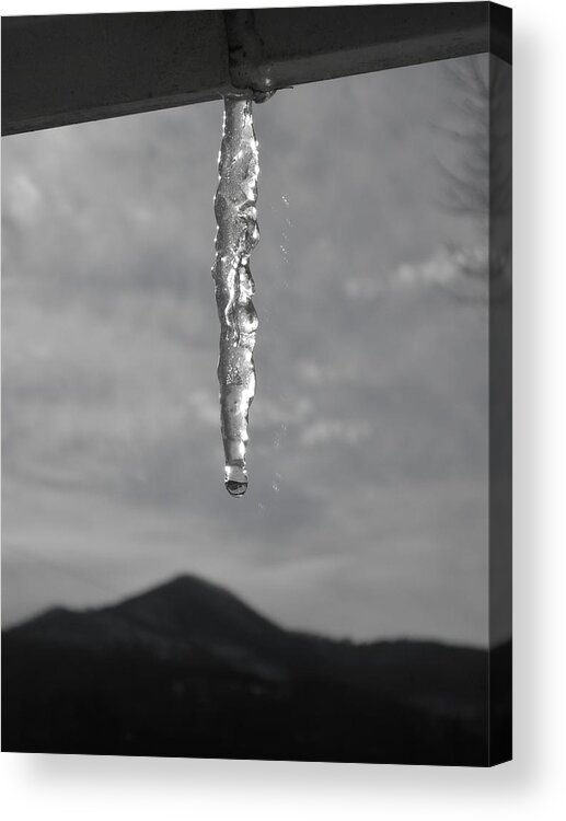  Acrylic Print featuring the photograph Cicle Drop by Hominy Valley Photography