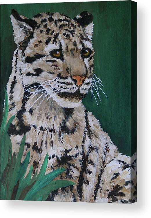 Clouded Leopard Acrylic Print featuring the painting Clouded Leopard by Margaret Saheed