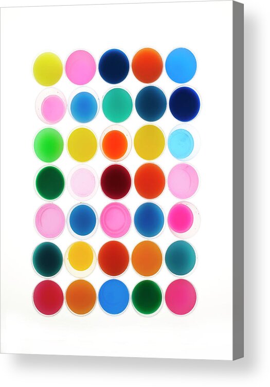 White Background Acrylic Print featuring the photograph Collection Of Dyes In Glasses by Shana Novak