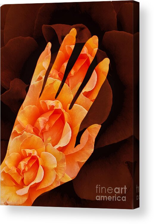Surrealism Acrylic Print featuring the digital art Comfort Color Version by Fei A