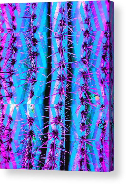 Scottsdale Acrylic Print featuring the mixed media Cosmic Cactus 1 by MB Dallocchio