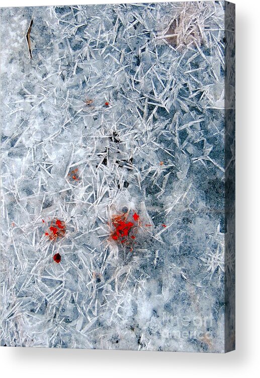 Abstract Acrylic Print featuring the photograph Crystallized Ice by Marcia Lee Jones