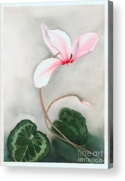 Floral Acrylic Print featuring the painting Cyclamen Dancer by Hilda Wagner
