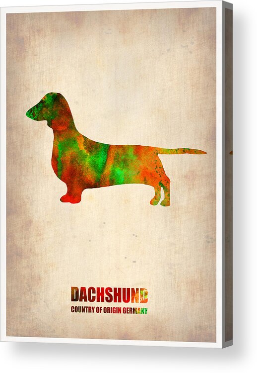 Dachshund Acrylic Print featuring the painting Dachshund Poster 2 by Naxart Studio