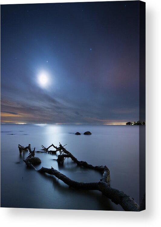 Scenics Acrylic Print featuring the photograph Death Tree In Moonlight At The Baltic by Spreephoto.de