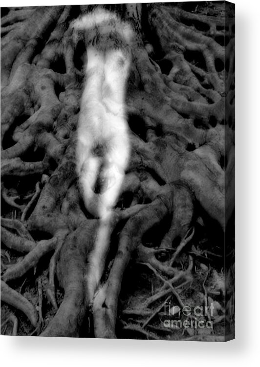 Black Acrylic Print featuring the photograph Depths Of Earth by Jessica S