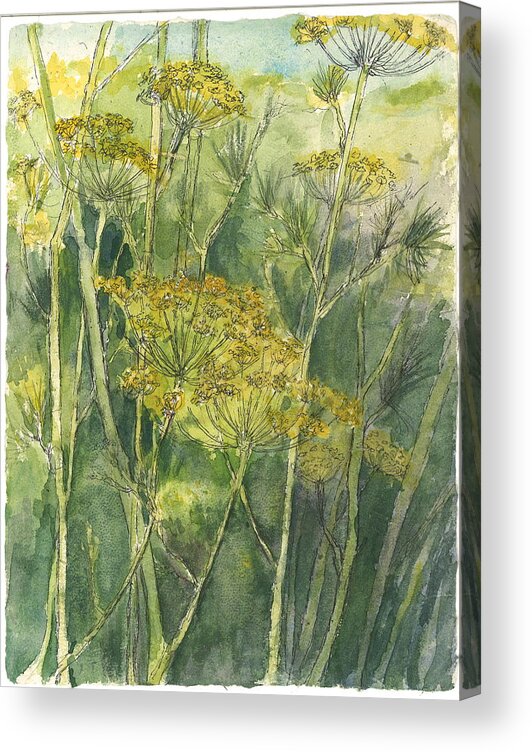 Herbs Acrylic Print featuring the painting Dill in Bloom by Maria Hunt