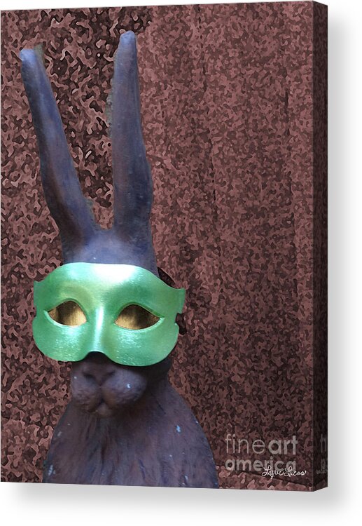 Animal Acrylic Print featuring the photograph Disguised Rabbit by Lyric Lucas