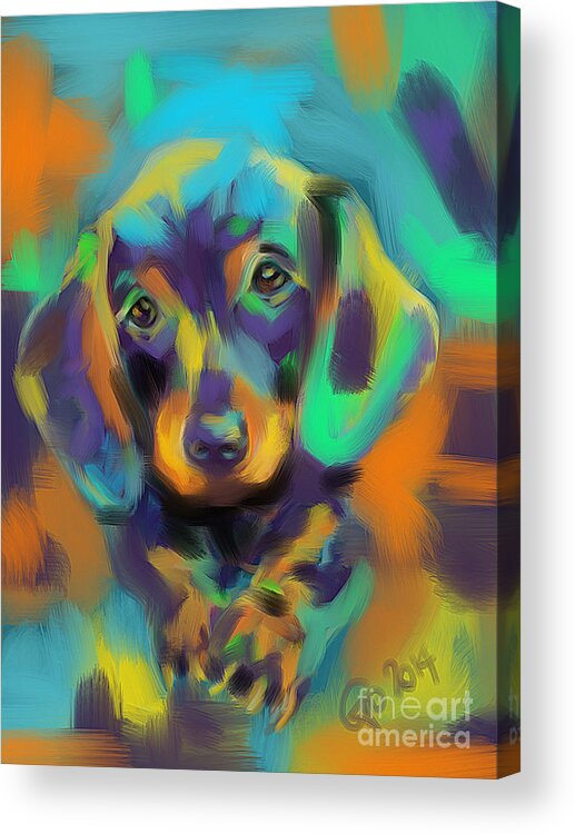 Dog Acrylic Print featuring the painting Dog Bobby by Go Van Kampen