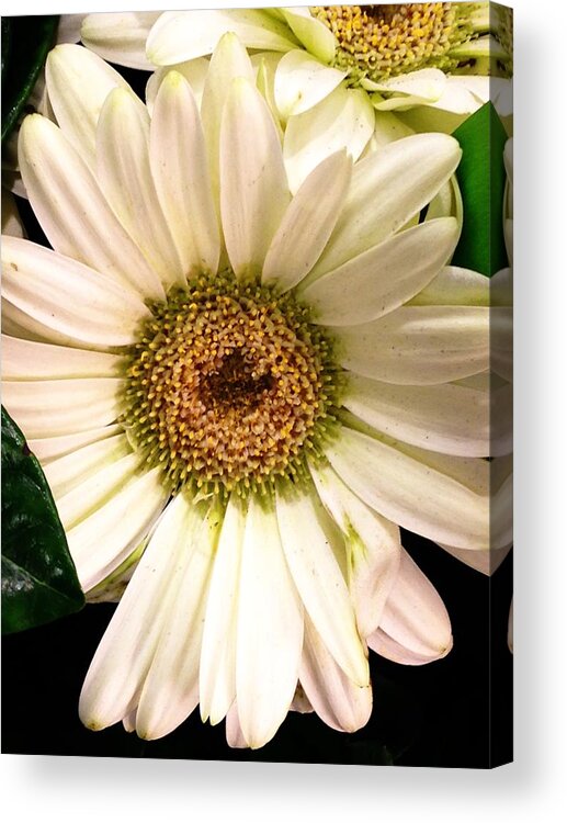 Easter Acrylic Print featuring the digital art Easter 2014-2 by Jeff Iverson