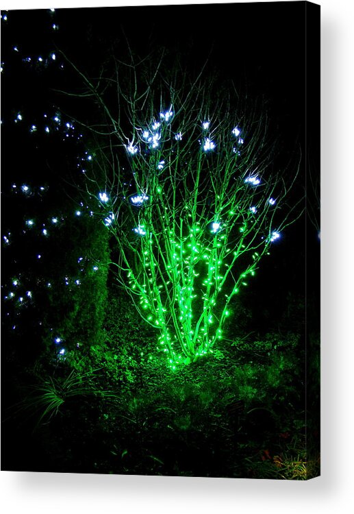 Fine Art Acrylic Print featuring the photograph Fairy Light by Rodney Lee Williams