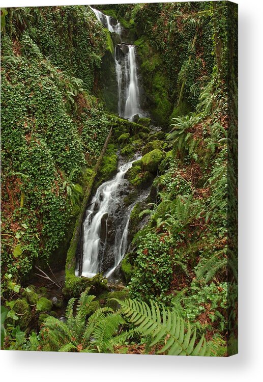 Oregon Acrylic Print featuring the photograph Falls at Rainer II by HW Kateley