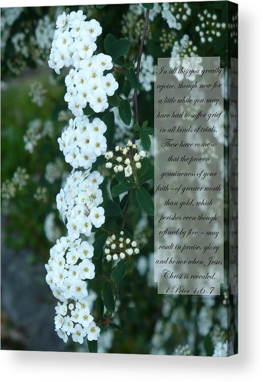 1 Peter 1:6-7 Acrylic Print featuring the photograph First Peter One Six to Seven White Floral by Nicki Bennett