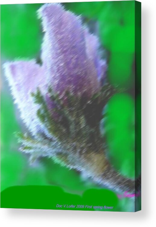 Landscape Acrylic Print featuring the digital art First spring flower by Dr Loifer Vladimir