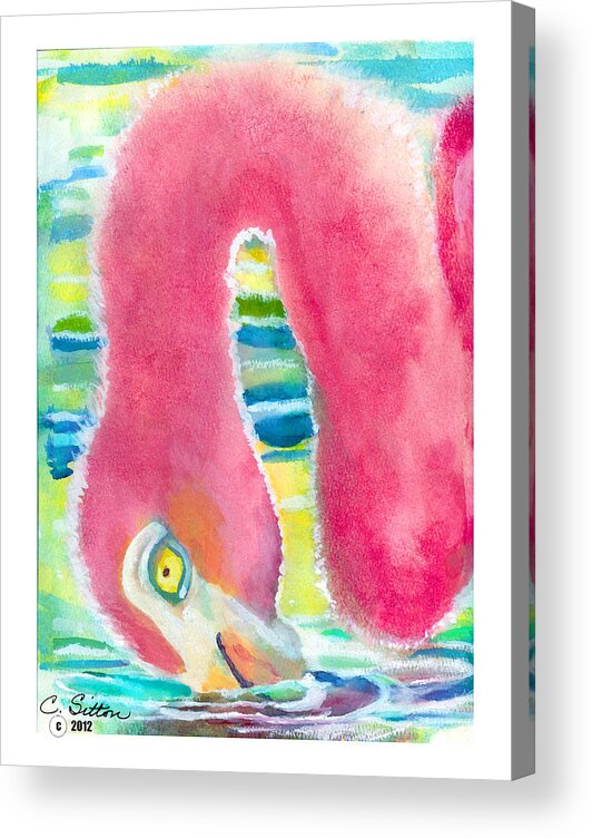 C Sitton Painting Paintings Acrylic Print featuring the painting Flamingo Eating by C Sitton