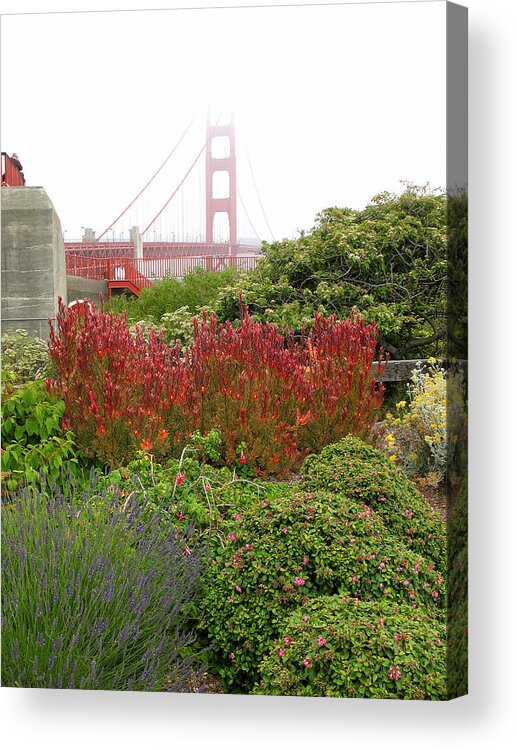 Golden Gate Bridge Acrylic Print featuring the photograph Flower Garden at the Golden Gate Bridge by Connie Fox