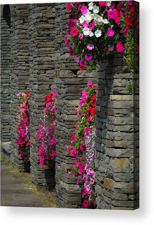 Flowers Acrylic Print featuring the photograph Flowers at Liscannor Rock Shop by James Truett