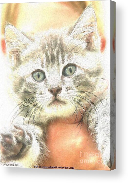  Acrylic Print featuring the photograph Fluffy Kitten by PainterArtist FIN