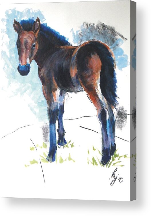 Horse Acrylic Print featuring the painting Foal Painting by Mike Jory