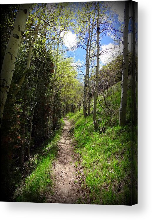 Trail Acrylic Print featuring the photograph Footpath by Donna Spadola