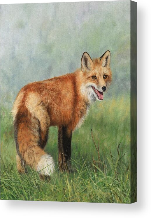 Fox Acrylic Print featuring the painting Fox by David Stribbling